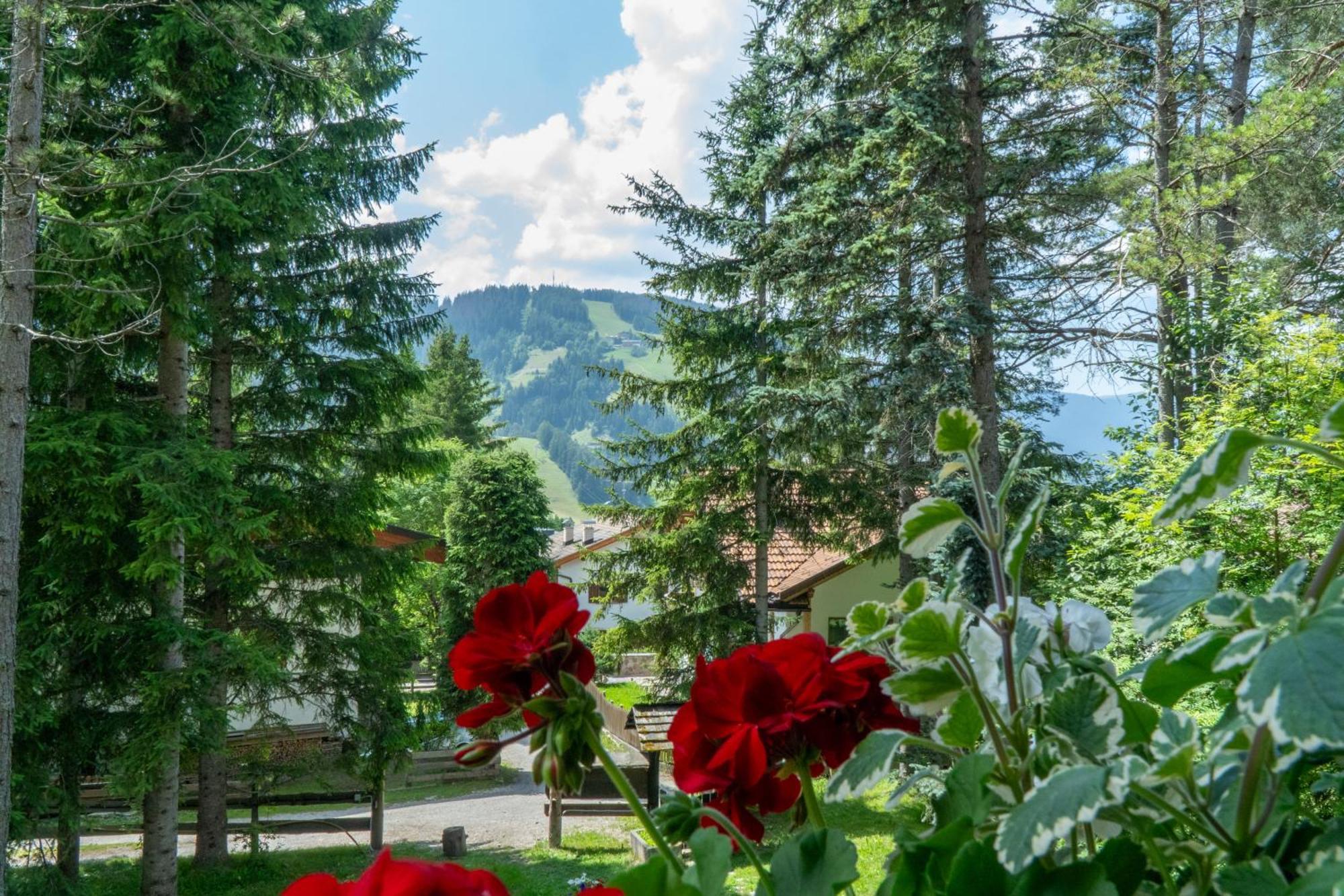 B&B Villa La Bercia Сан Вигилио ди Маребе Екстериор снимка