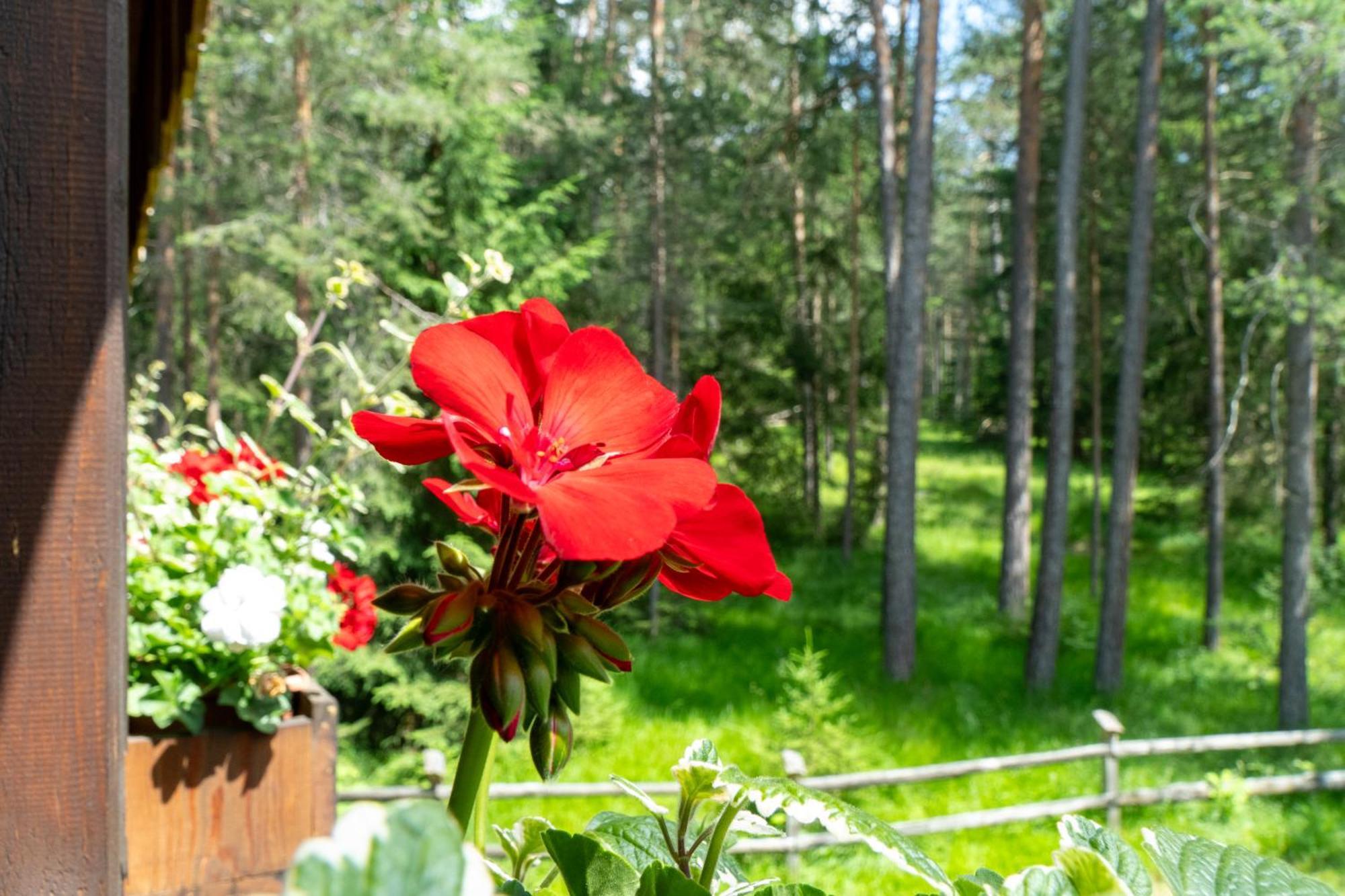 B&B Villa La Bercia Сан Вигилио ди Маребе Екстериор снимка